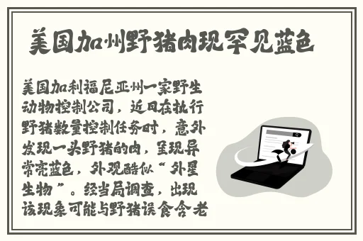 免费交友软件有哪些