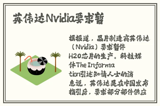 午夜时刻免费入口